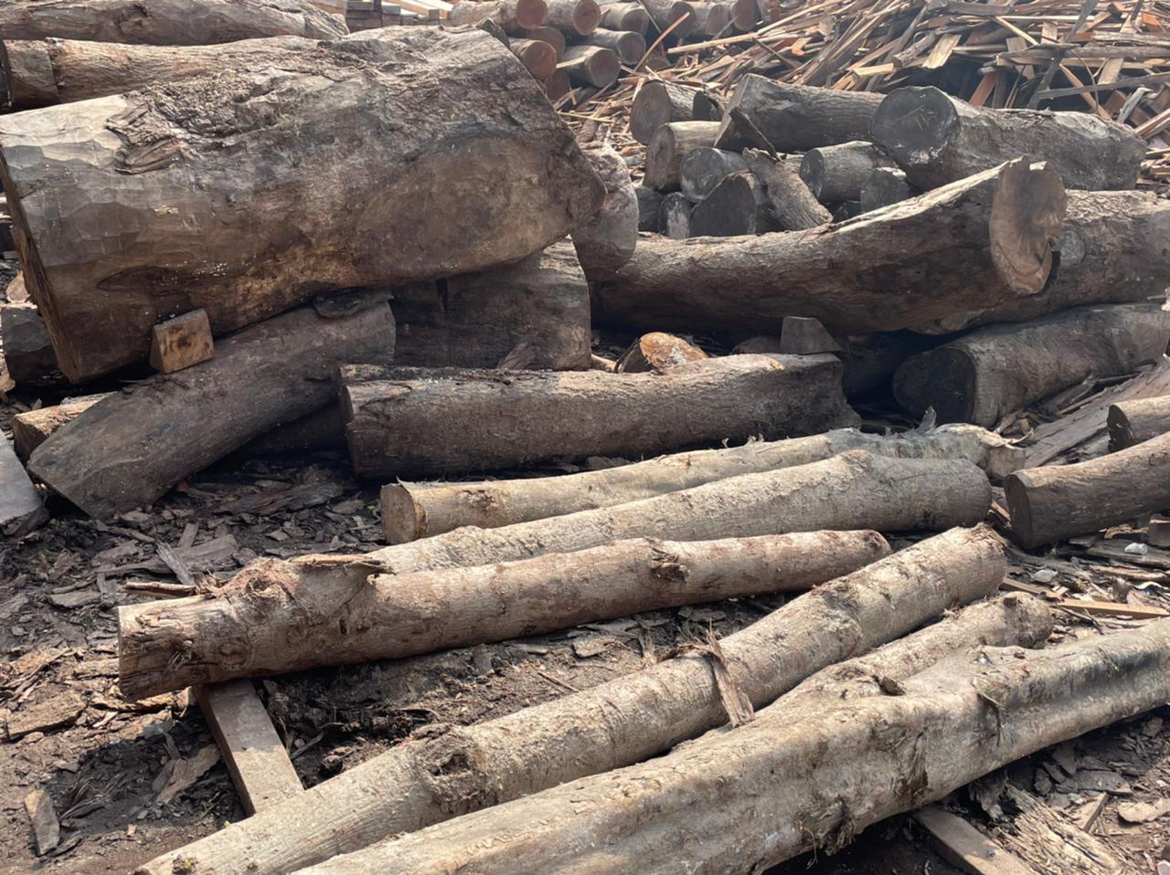 Buy Indian Sal Wood Manufacturers in Patna